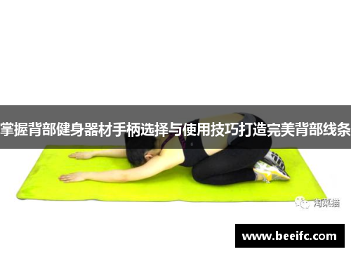 掌握背部健身器材手柄选择与使用技巧打造完美背部线条