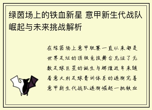 绿茵场上的铁血新星 意甲新生代战队崛起与未来挑战解析