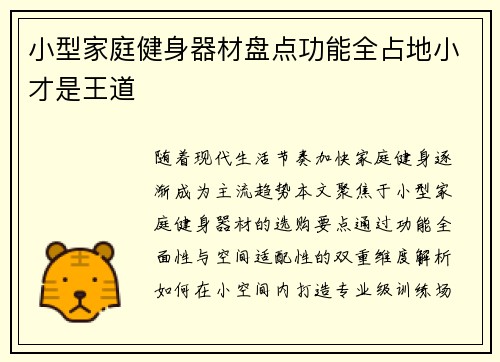 小型家庭健身器材盘点功能全占地小才是王道