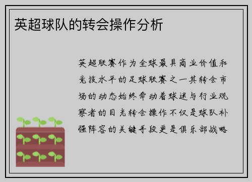 英超球队的转会操作分析